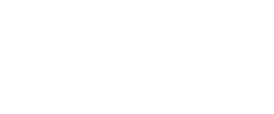 Falcon Diesel